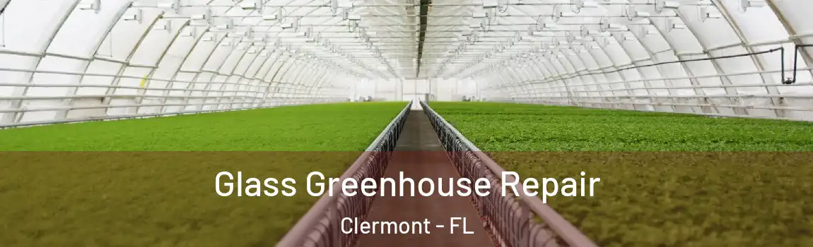  Glass Greenhouse Repair Clermont - FL