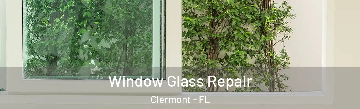  Window Glass Repair Clermont - FL